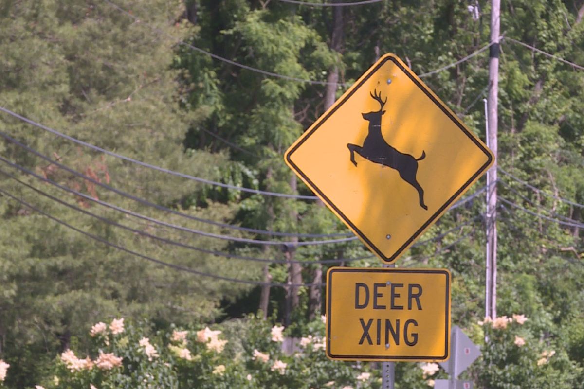 Deer-Crossing-Sign.jpg