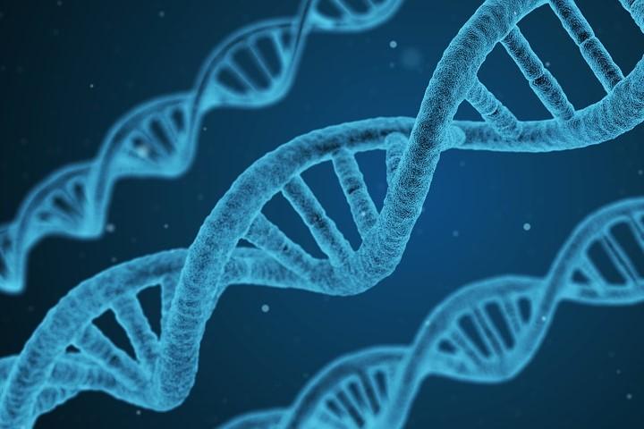 A stock image of DNA strands.