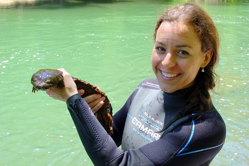 A biologist with an eastern hellbender