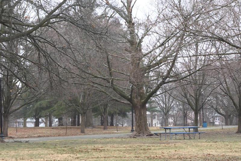 According to the Indiana Forest Alliance, only 15 percent of Indianapolis's urban forests are protected in parks — like here in Garfield Park.