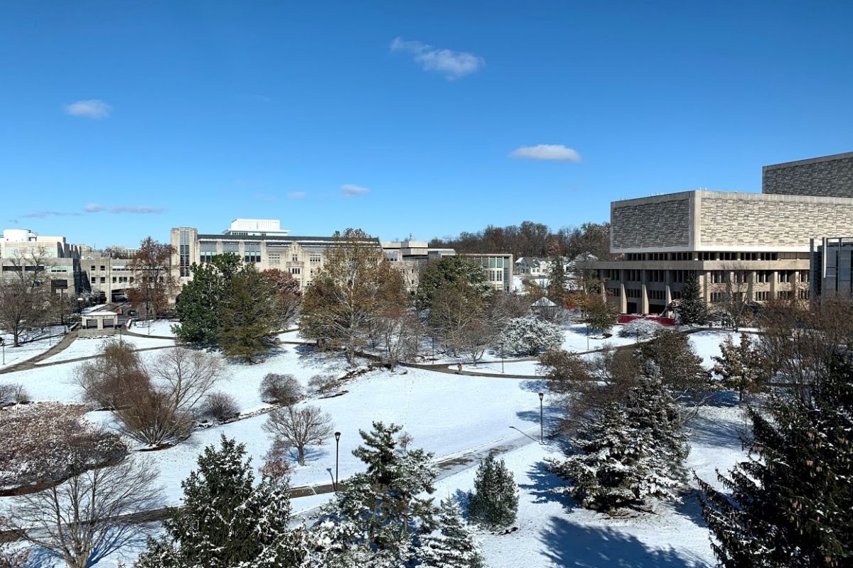Indiana University arboretum on campus in the snow. Nov. 12, 2019.