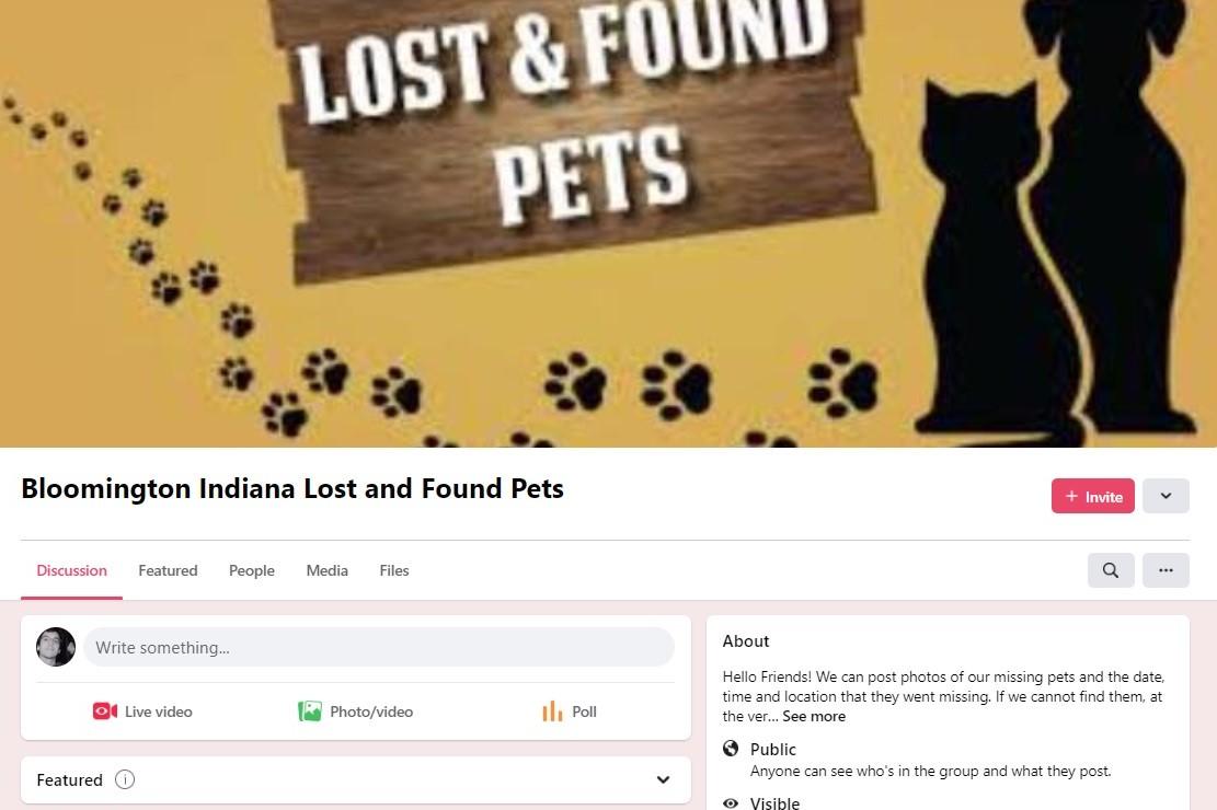 Bloomington Indiana Lost and Found Pets