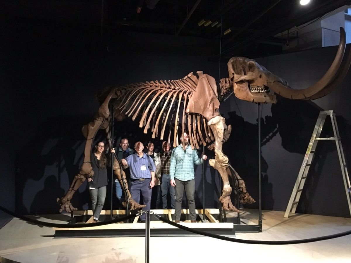 A group of people stand behind a standing mastodon fossil at the Indiana State Museum.