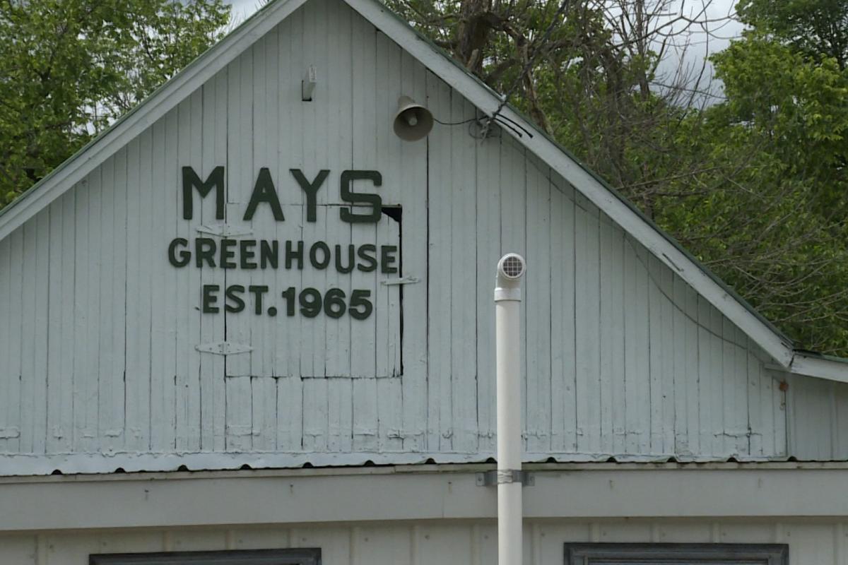 Mays Greenhouse