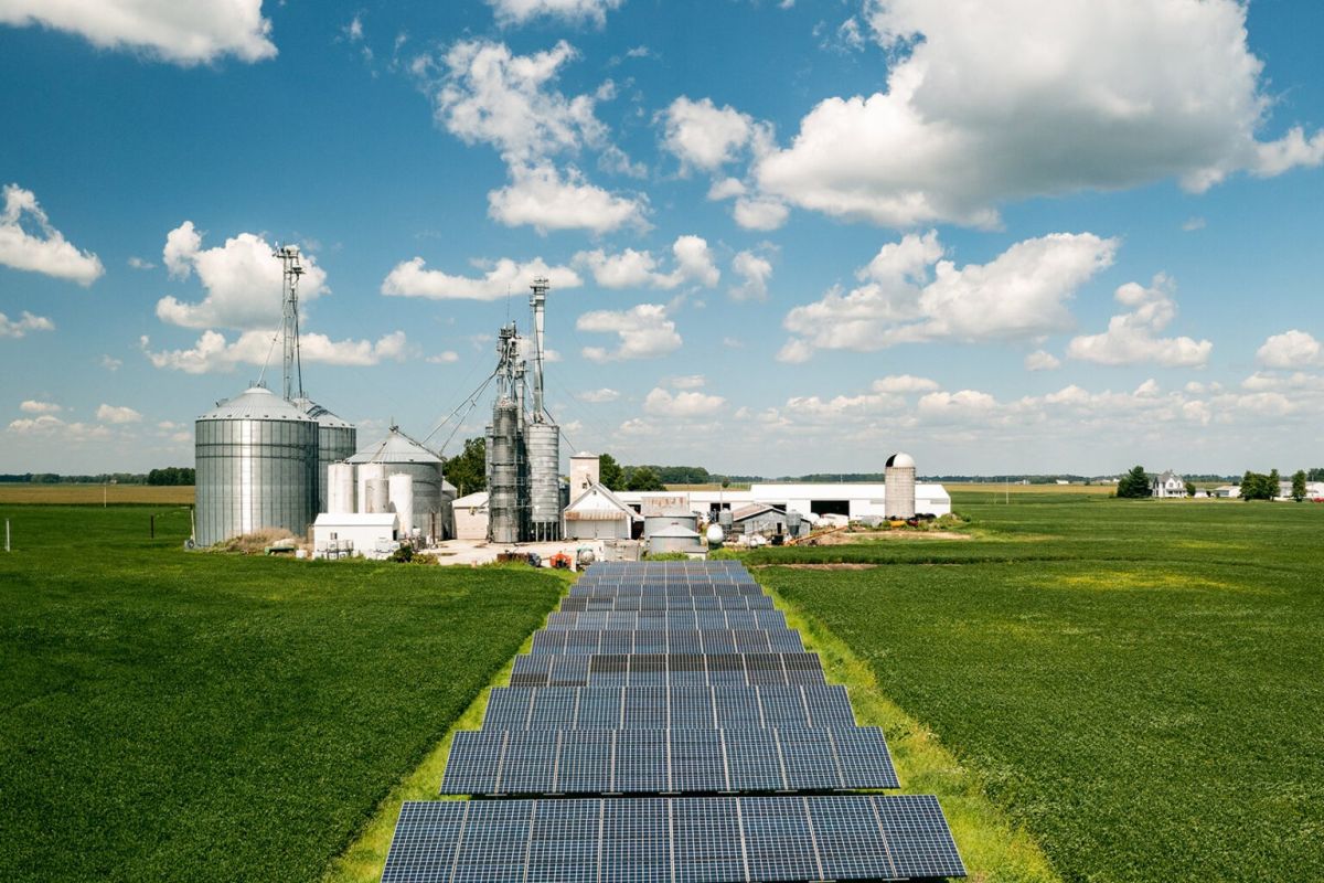 Solar panels at McKinney Farms in Tipton County, Indiana