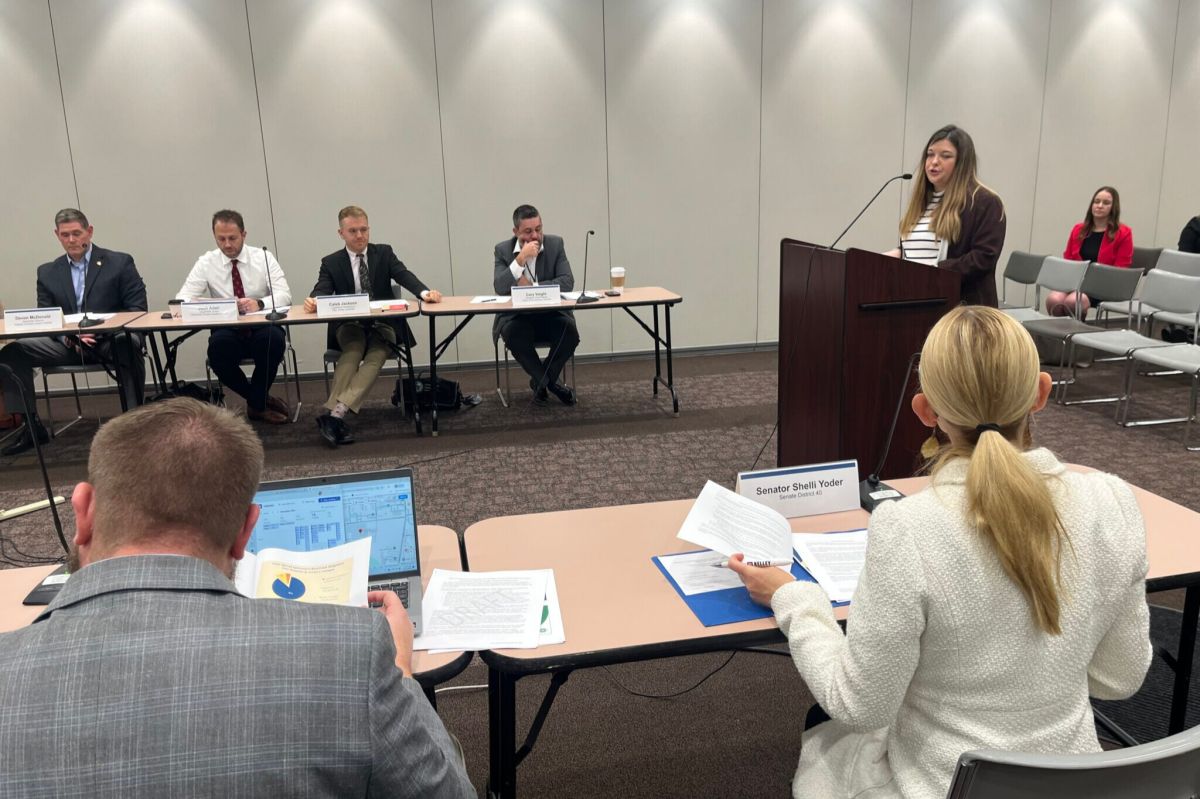 Deputy Director Shelby Thomas, with the Office of Drug Prevention, Treatment and Enforcement, presents before a state committee