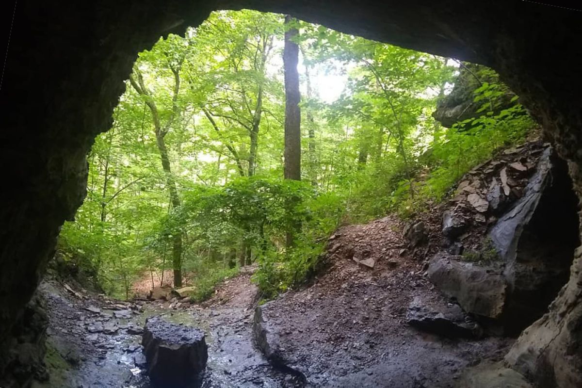 Patton Cave, photo of a cave entrance in the Charles C. Deam Wilderness near Bloomington, Indiana.