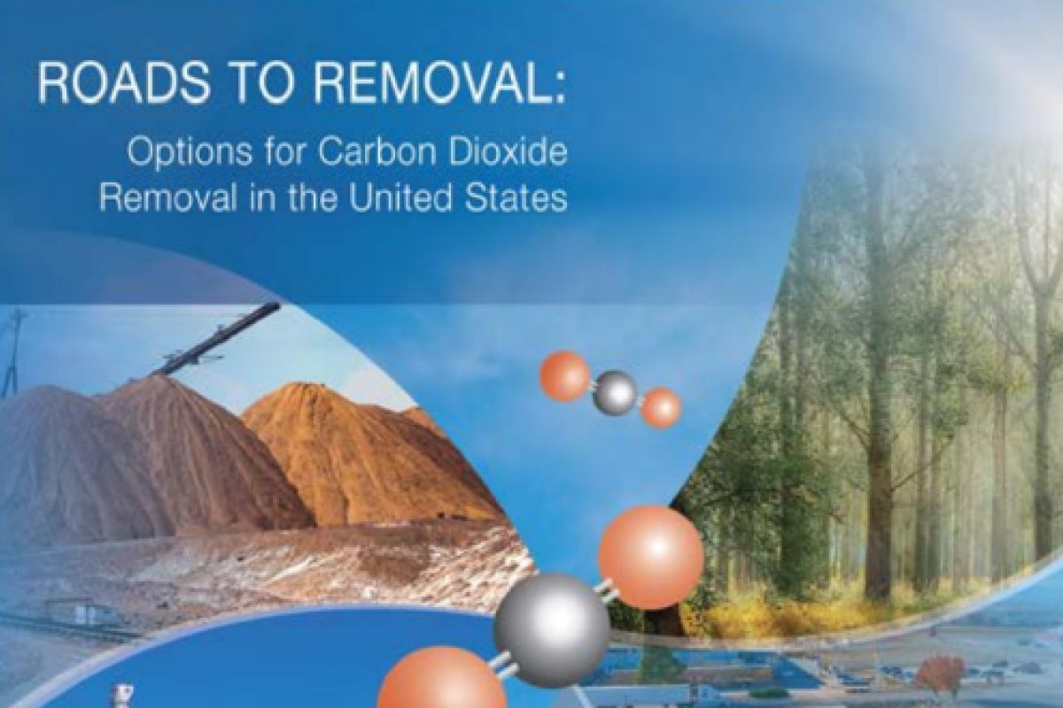 report carbon removal