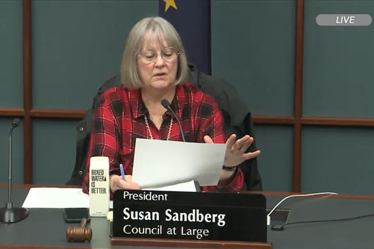 Susan Sandberg at council meeting