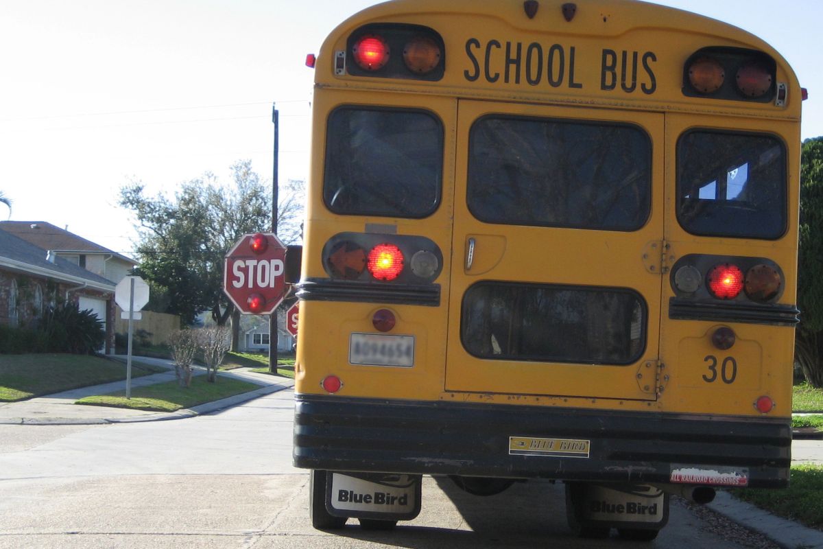 blue bird school bus stop sign terry town