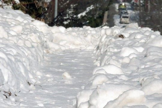 snow-covered sidewalk