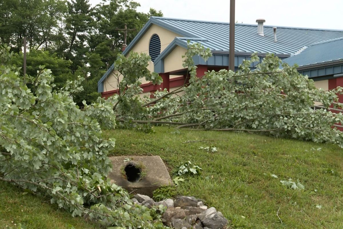 Downed tree limbs litter a yard following the June 25 storm that tore through the area.