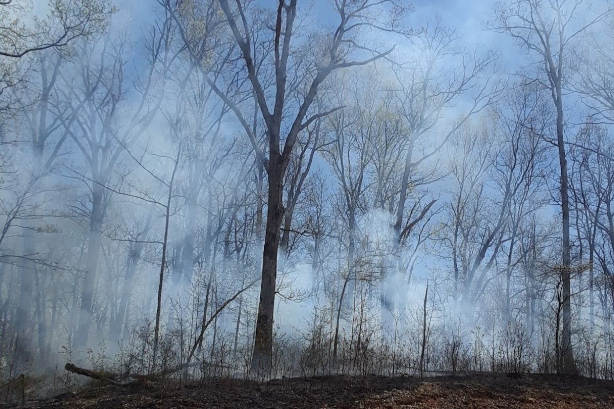 A photo of a prescribed fire, provided by the U.S. Forest Service