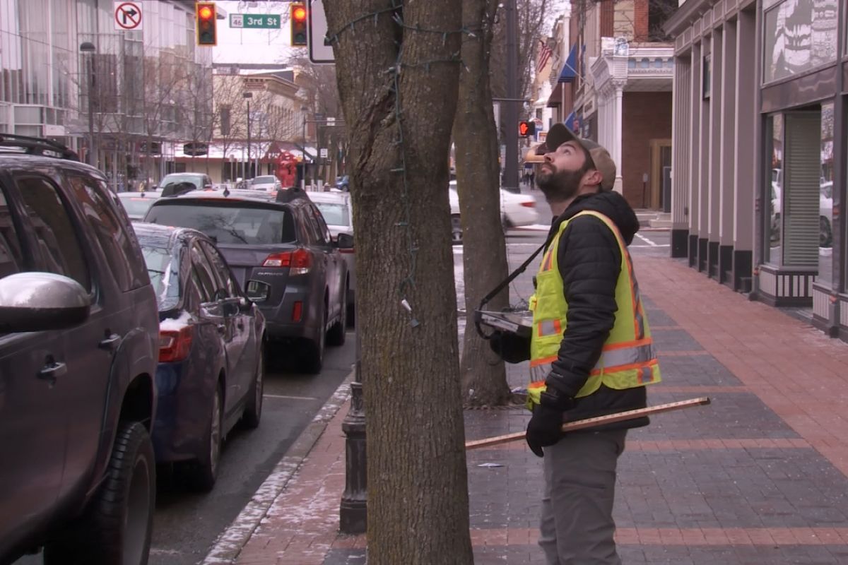 Tyler VanVlerah of Davey Resource Group looks at the condition of a tree in downtown Columbus while working on the city's tree inventory in 2020. 