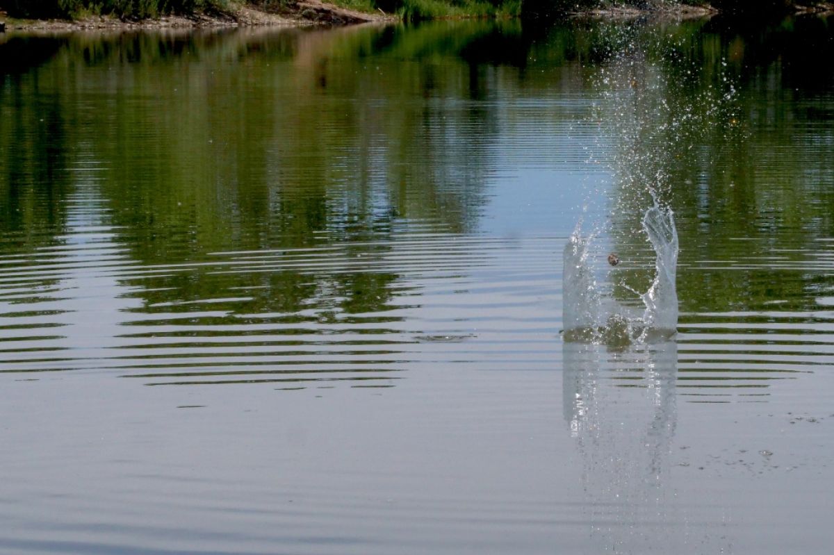 Stone skipping across a pond