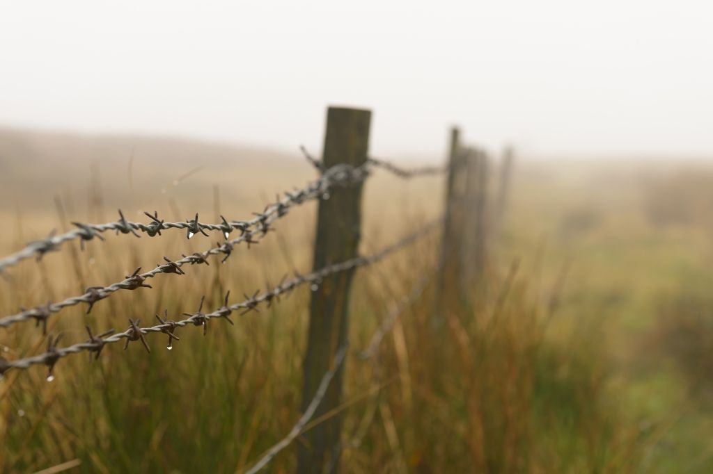 Barbed wire fence along a field.