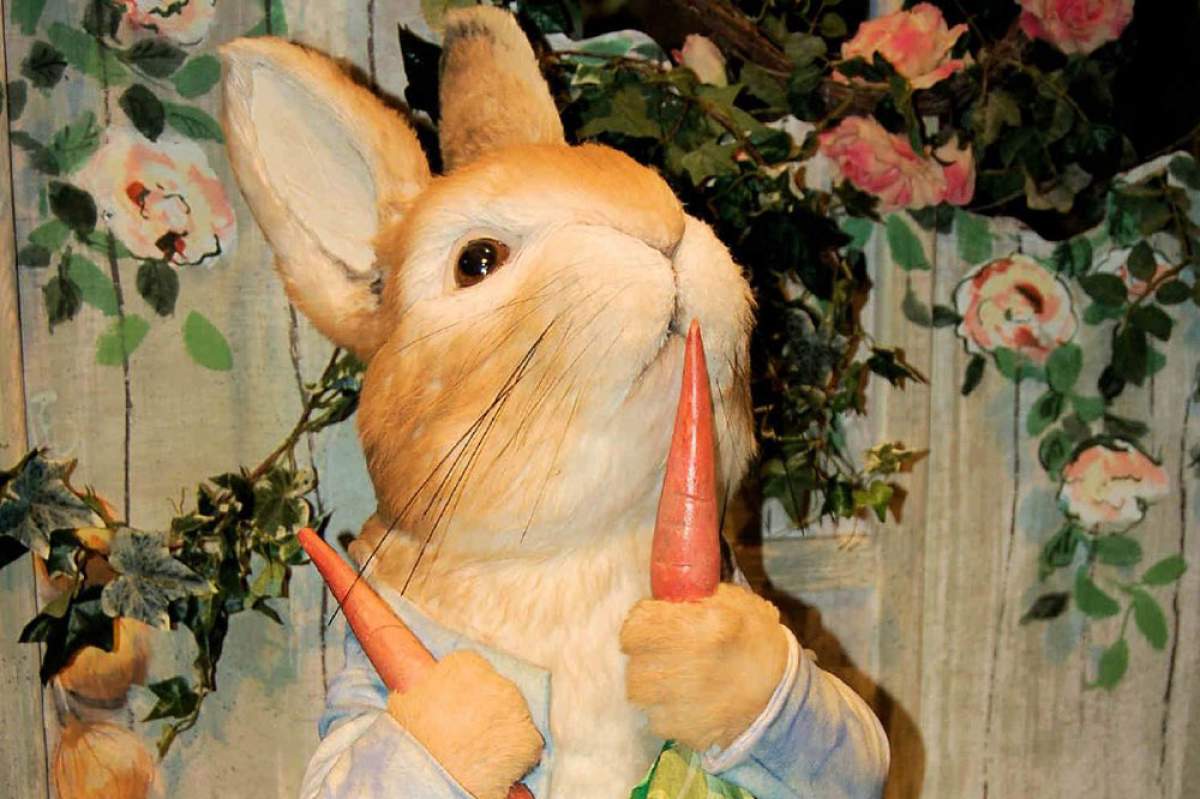 a Peter Rabbit doll