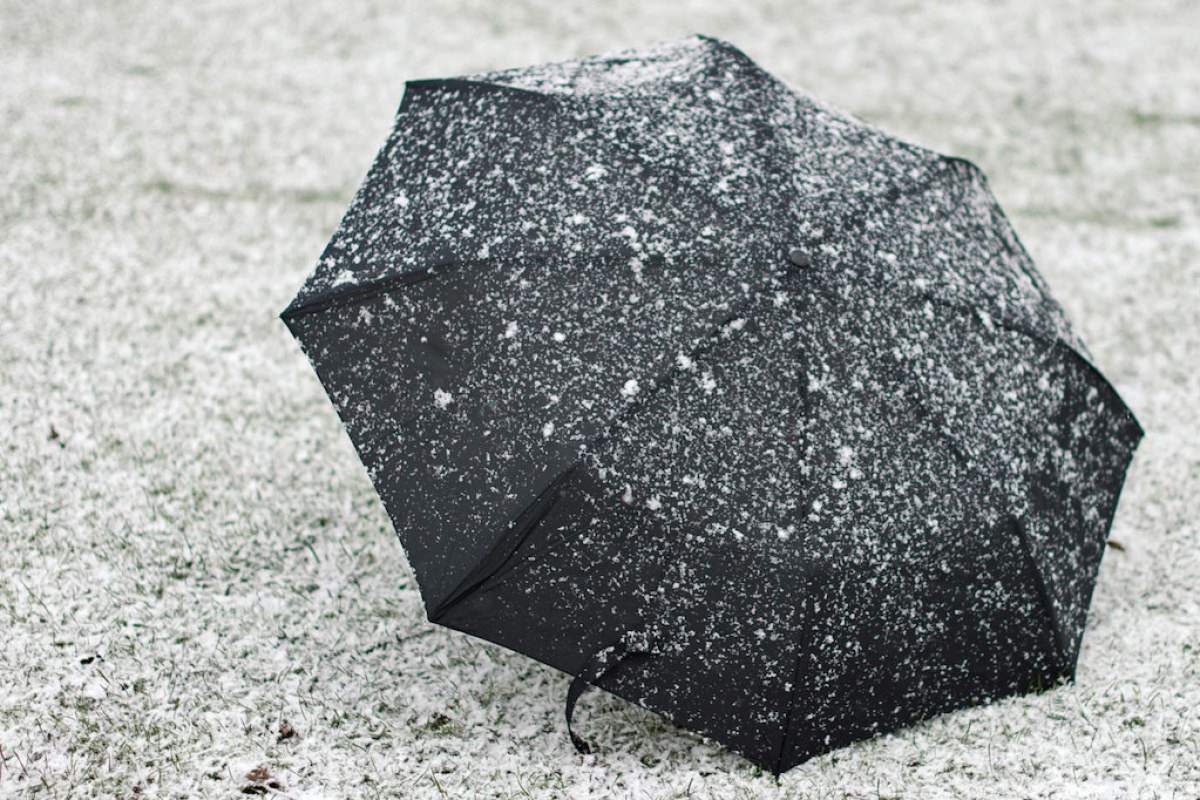 umbrella covered in snow