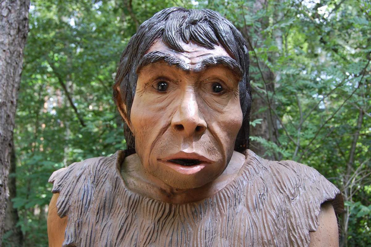 neanderthal wood sculpture