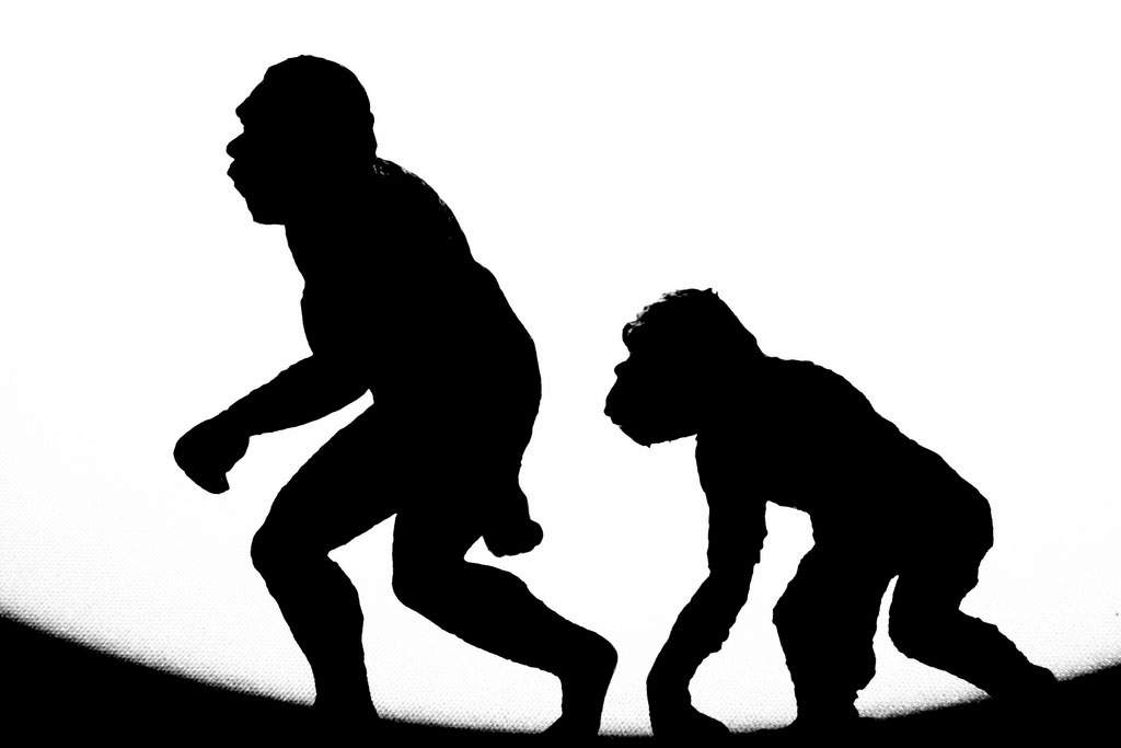 cavemen evolving in black and white image
