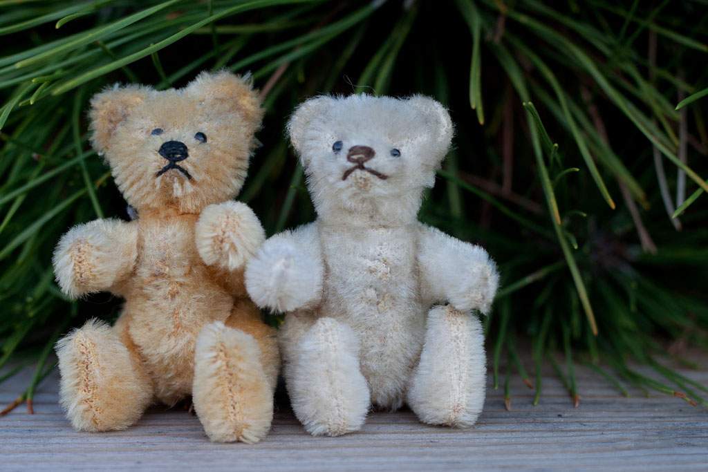 two stuffed animal bears sitting outside