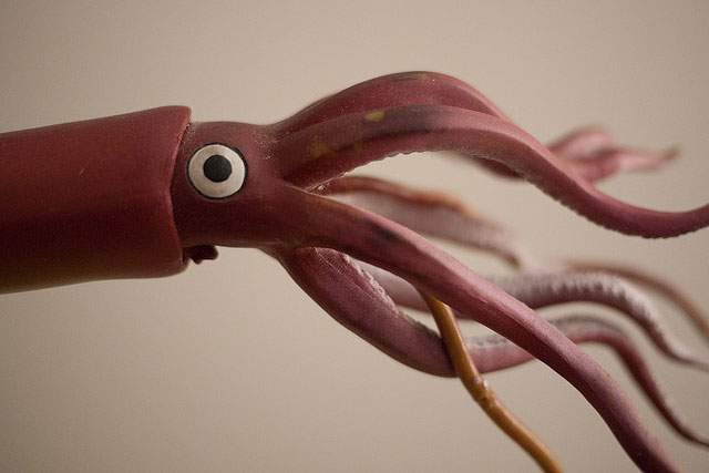 plastic squid photographed up close