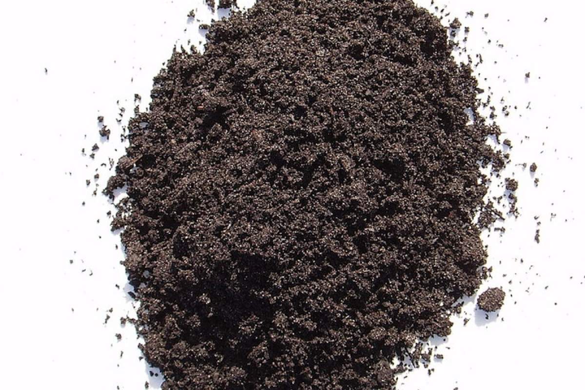 A pile of dirt against a white background