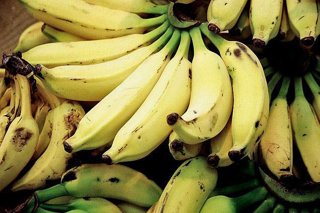 a collection of bananas, some with brown spots