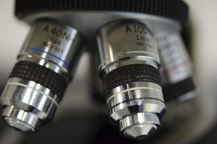Close-up view of microscope lenses