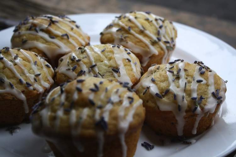 A plate of muffins with drizzled frosting and sprinkles
