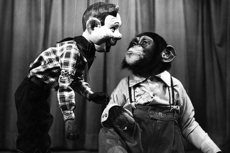 Black and white photo of a ventriloquist's dummy talking to a Chimpanzee