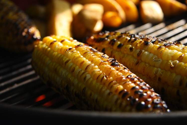 Slightly charred corn cobs sitting on a grill