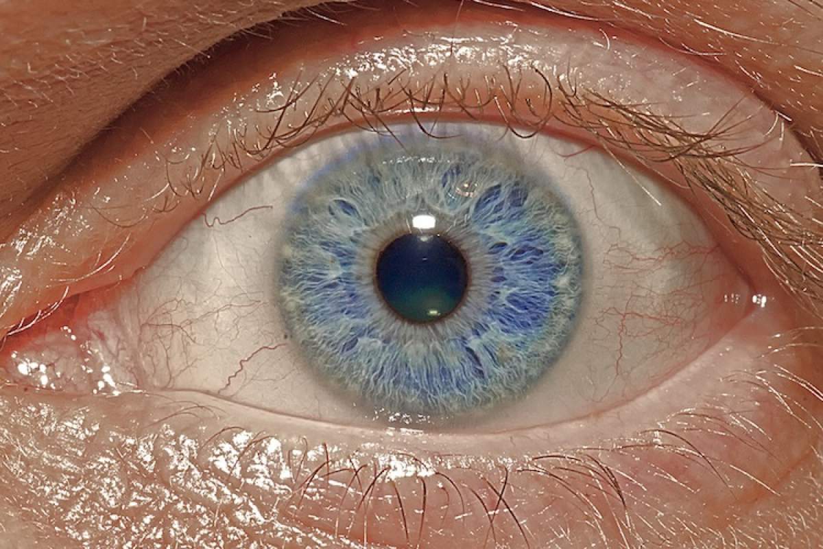 Macro photo of a person's light blue eye