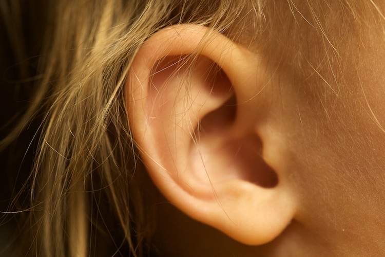 Close-up of a human ear