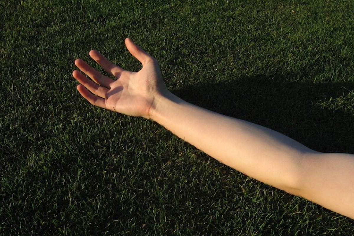 A human arm resting in grass