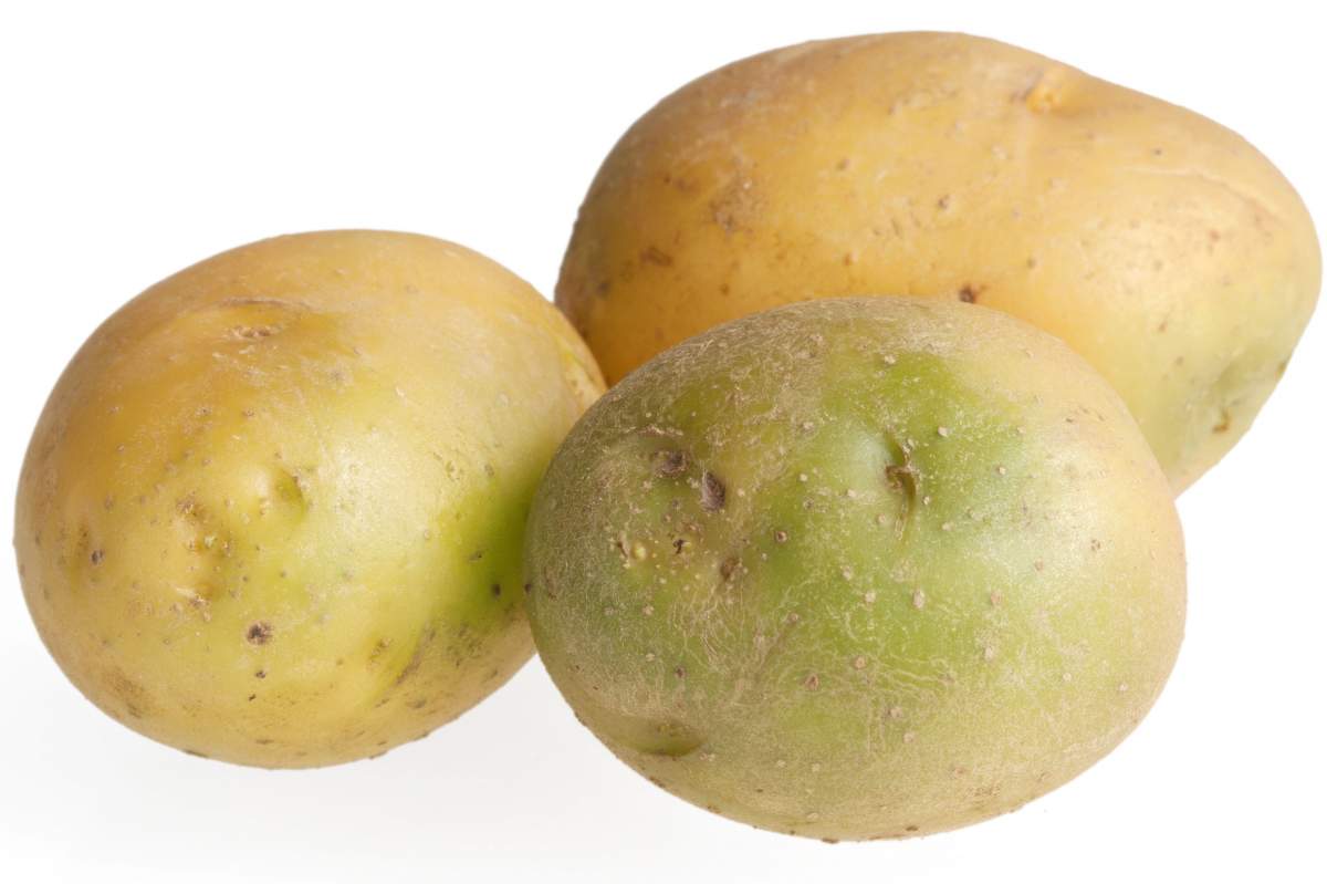3 green potatoes