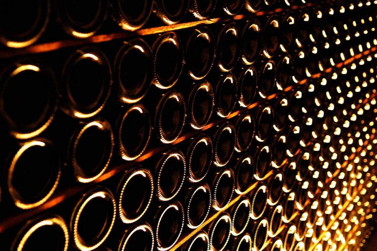 low-lit wine cellar