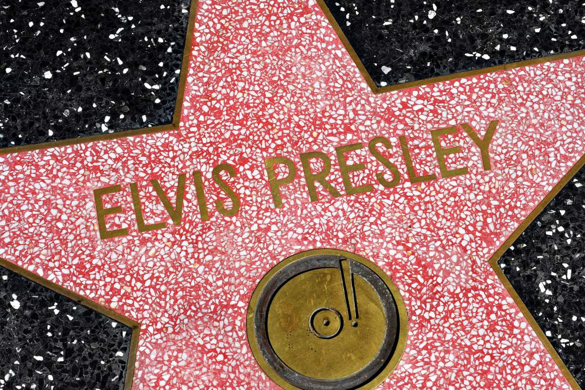 Elvis celebrity star