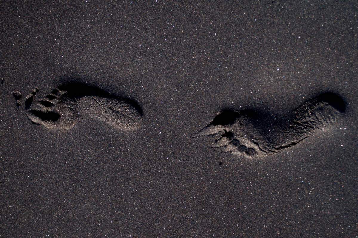 footprints in volcanic ash