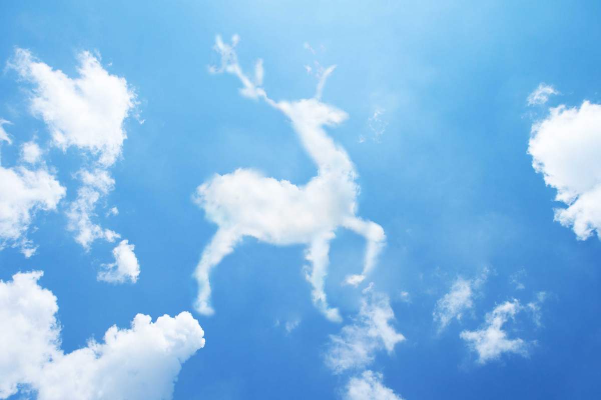cloud in the shape of a deer with antlers