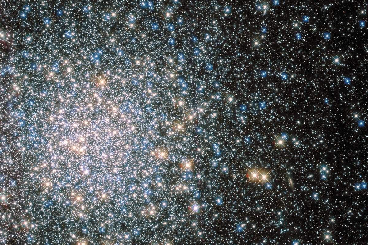 This sparkling jumble is Messier 5 — a globular cluster consisting of hundreds of thousands of stars bound together by their collective gravity. But Messier 5 is no normal globular cluster. At 13 billion years old it is incredibly old, dating back to close to the beginning of the Universe, which is some 13.8 billion years of age. It is also one of the biggest clusters known, and at only 24 500 light-years away, it is no wonder that Messier 5 is a popular site for astronomers to train their telescopes on. Messier 5 also presents a puzzle. Stars in globular clusters grow old and wise together. So Messier 5 should, by now, consist of old, low-mass red giants and other ancient stars. But it is actually teeming with young blue stars known as blue stragglers. These incongruous stars spring to life when stars collide, or rip material from one another.