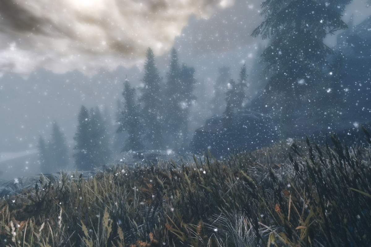 In the top right, a gray cloud, the middle layer, snow, gray sky, and dark green trees, and the bottom, in focus layer: grass