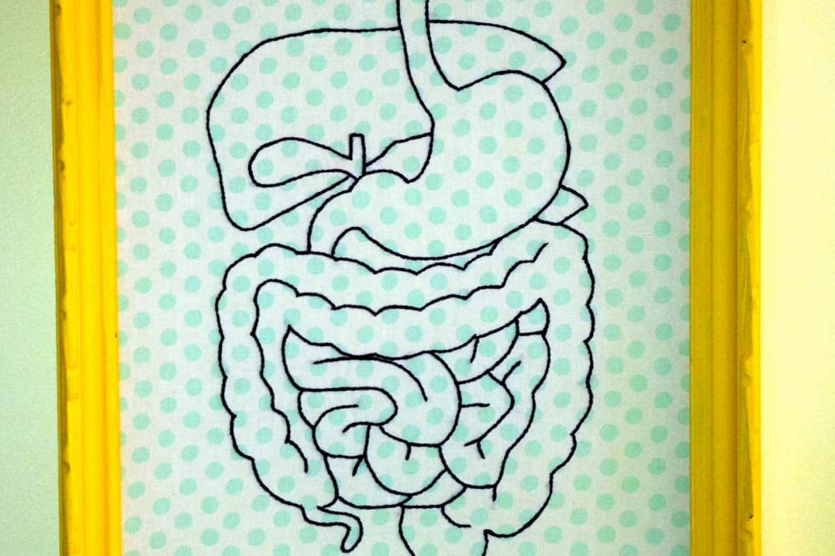 An embroidered representation of the average person's digestive system. Black thread on a mint and white polka dot background.