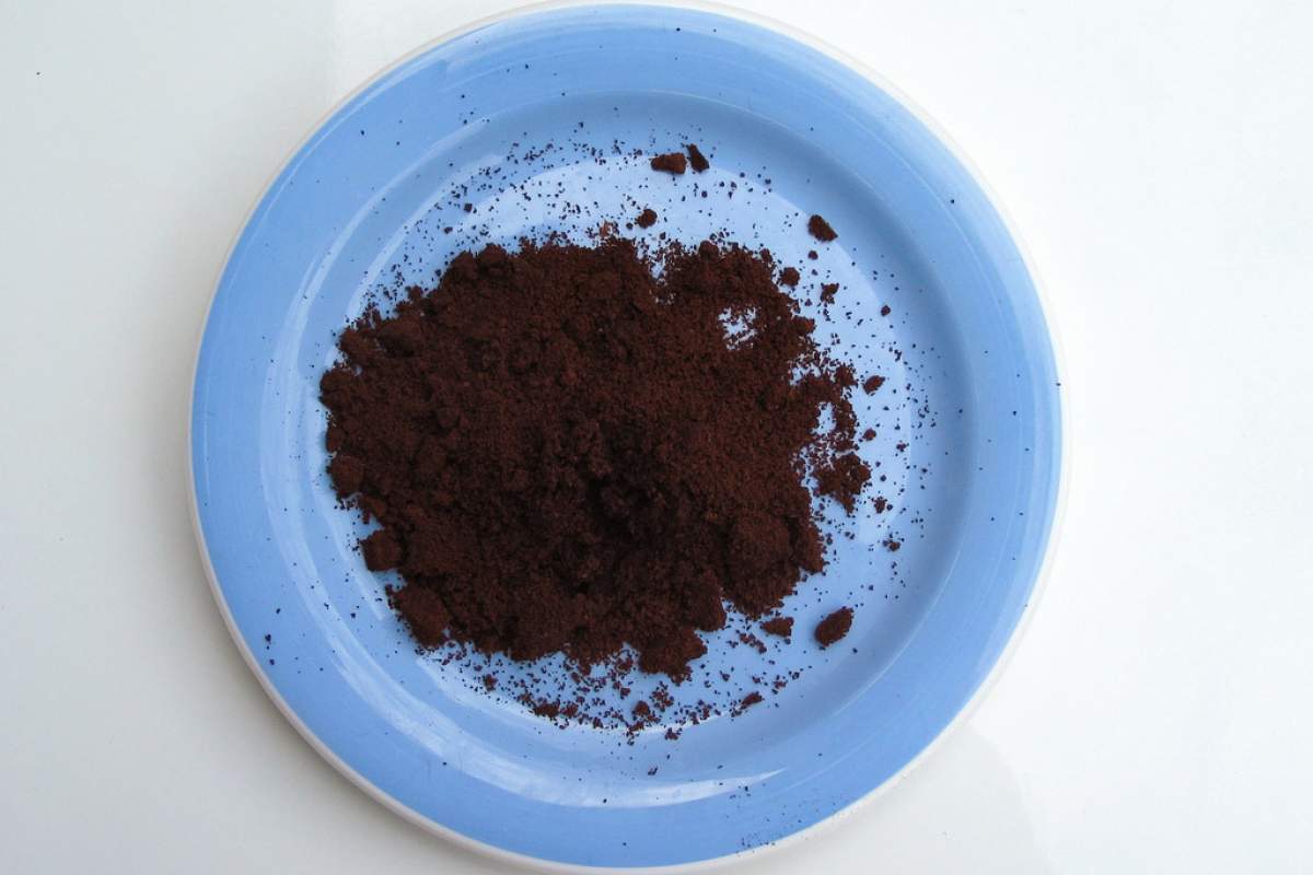 Coffee grounds on a light blue plate. An Aerial view.