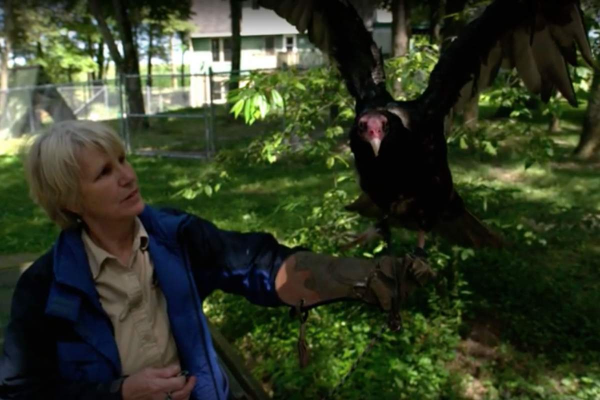 woman with turkey vulture