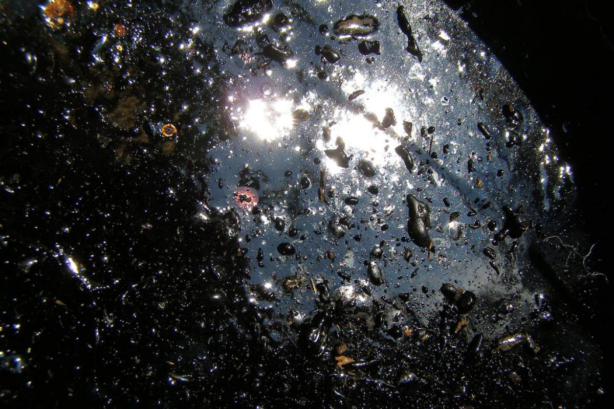 a close-up image of tar