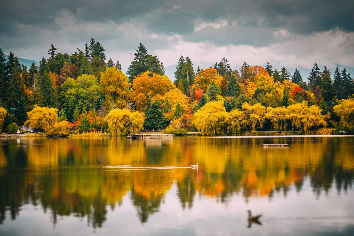 A lake with fall foliage. The autumn leaves are reflected in the lake.