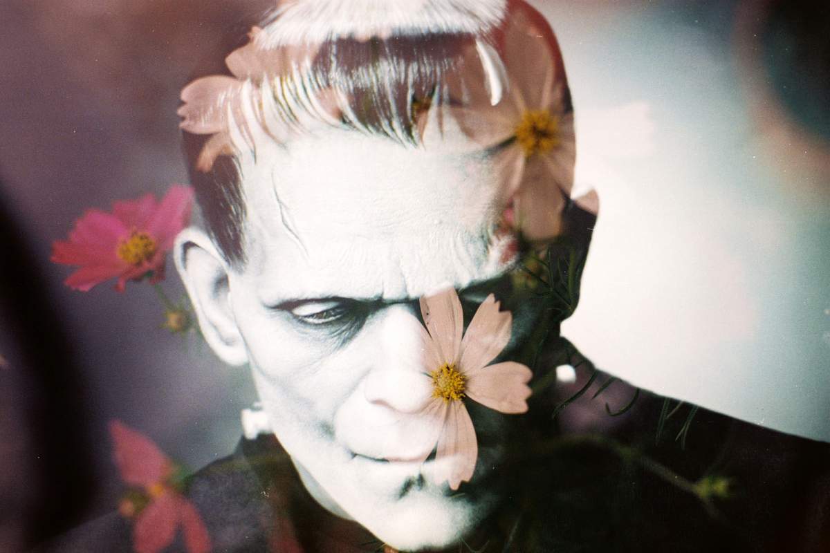 A composite image of the classic movie version of Frankenstein and flowers. (Khánh Hmoong, Flickr)