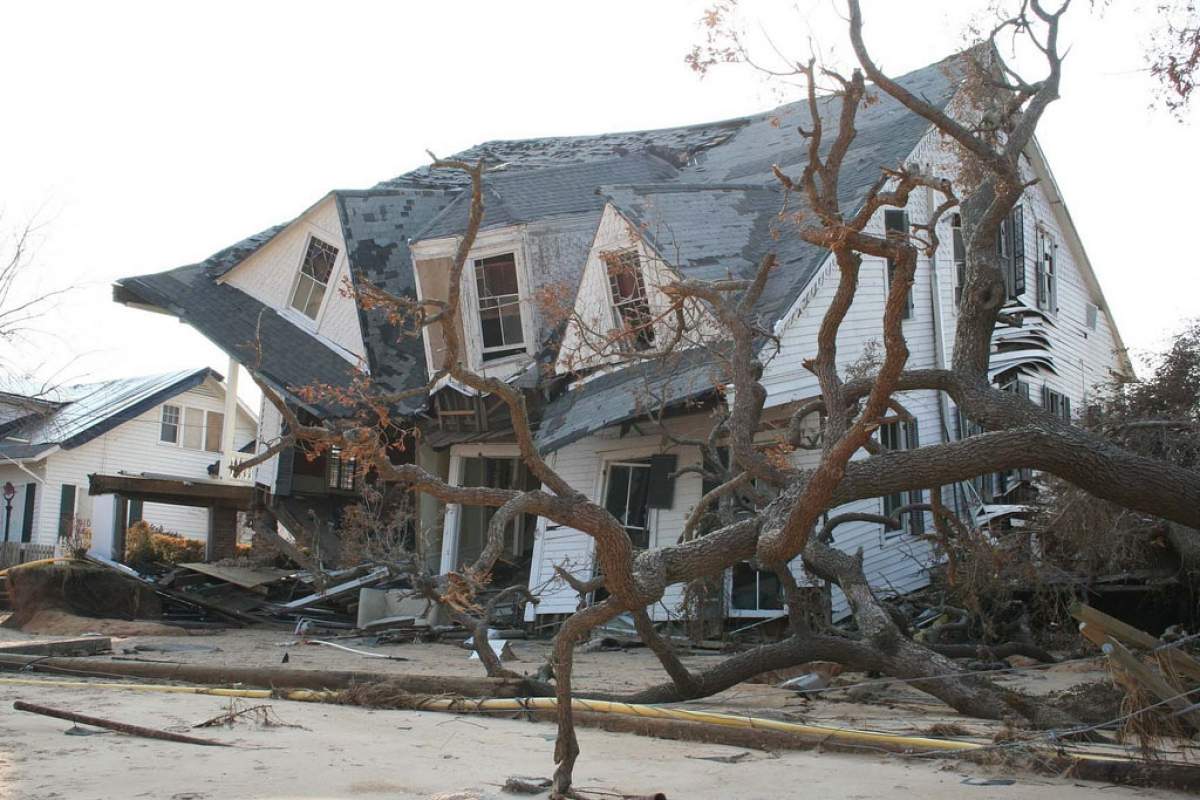 We're used to thinking of storm damage only in relation to human structures like in the photo above. (Barbara, Ambrose NOAA/NODC/NCDCC, Flickr)