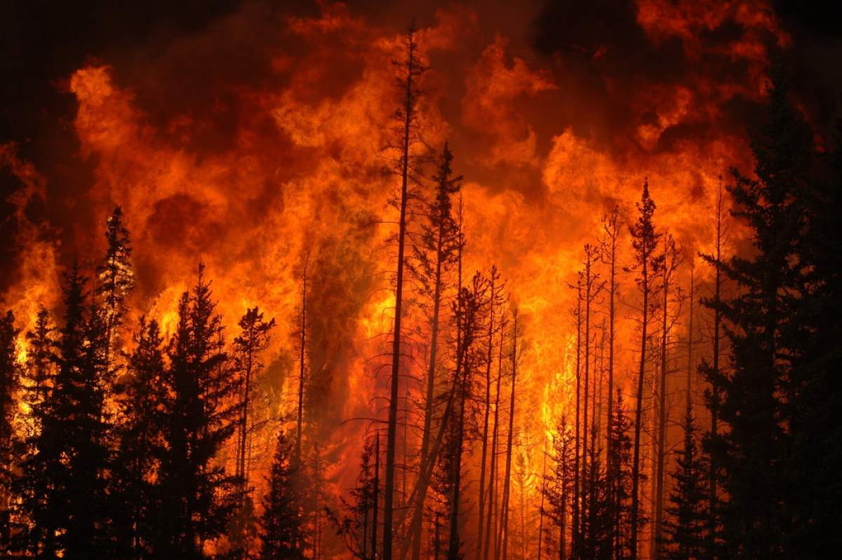 A photo of a controlled burn in West Alberta Canada. (Cameron Strandberg, Flickr)